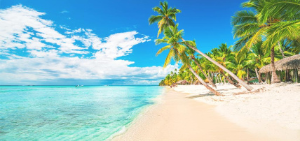 Sunscape® Coco Punta Cana 5*, Séjour Saint Domingue par Ôvoyages Sunscape® Coco Punta Cana 5*, Séjour Saint Domingue par Ôvoyages